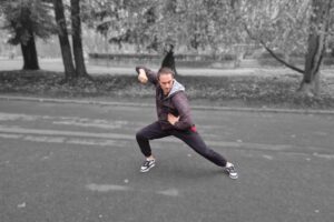 Association YangSheng Taijiquan Lyon