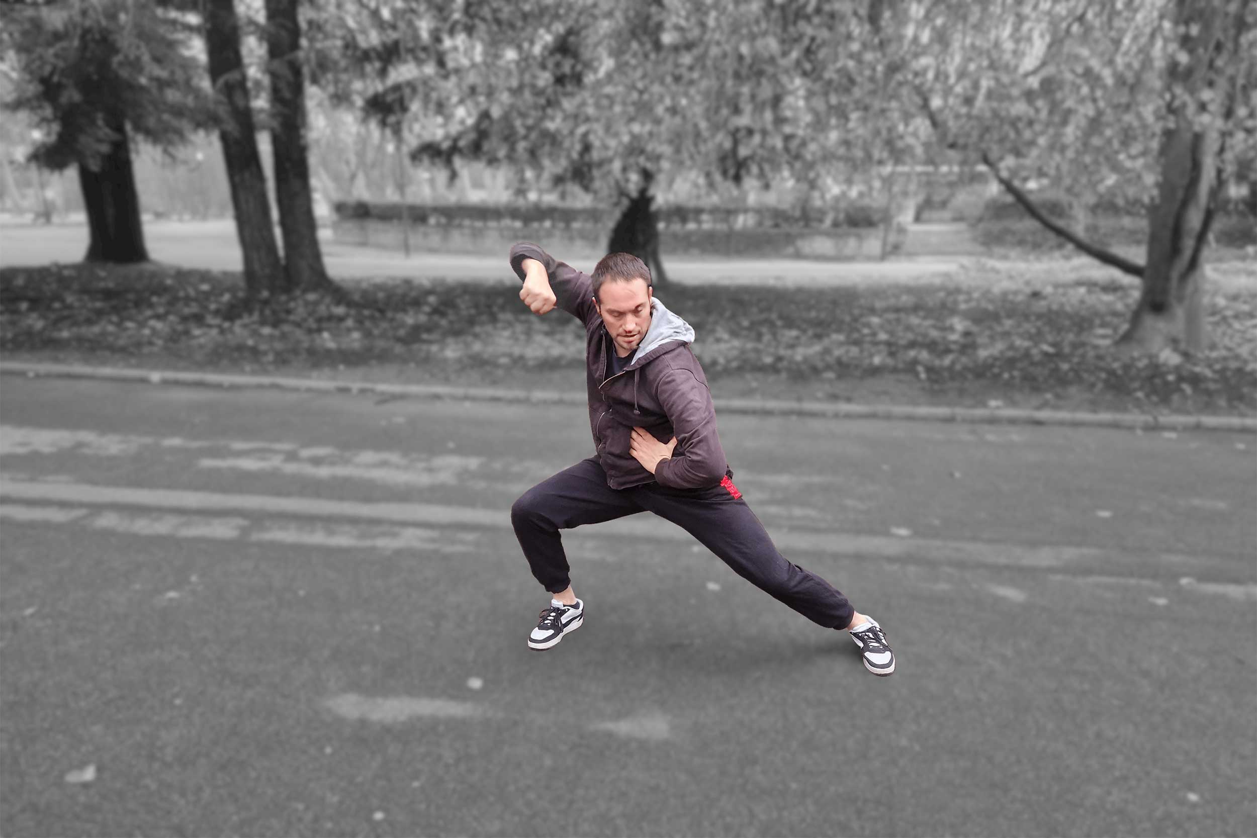 Association YangSheng Taijiquan Lyon