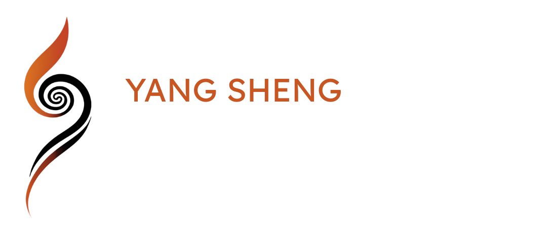 Association YangSheng Taijiquan Lyon