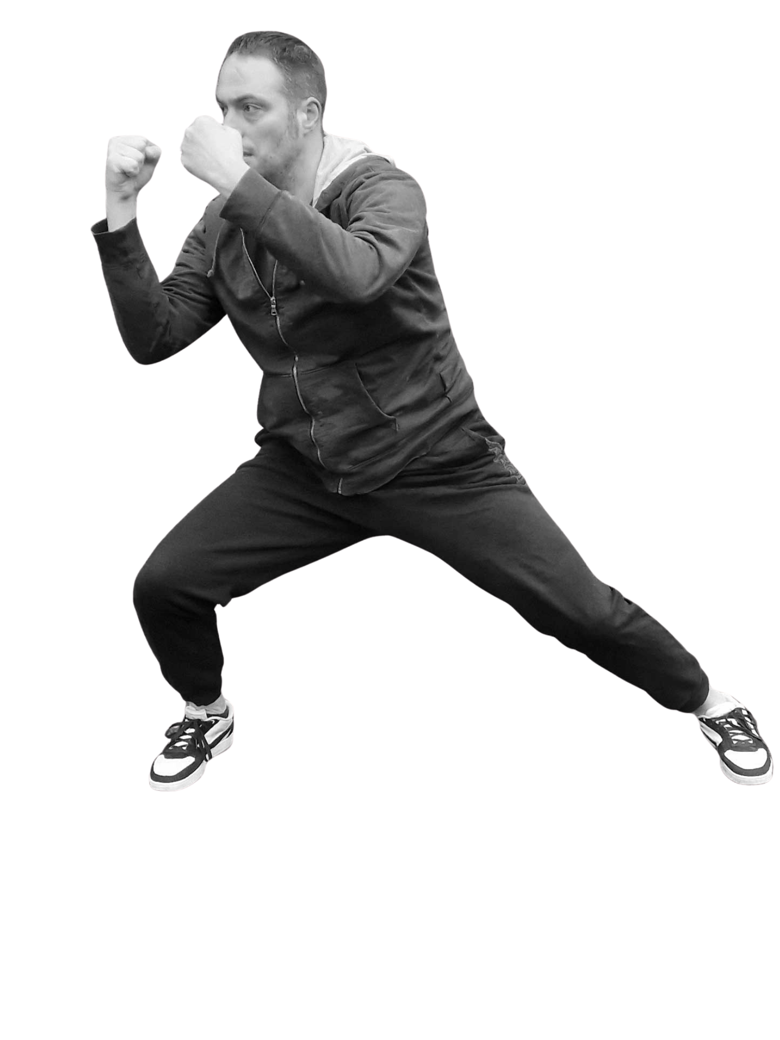 Guillaume Sengel Enseignant Taijiquan Lyon